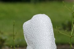 IMG_13512_DxO 
