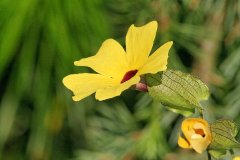 IMG_13606_DxO 