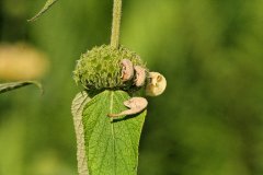 IMG_13621_DxO 