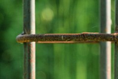 IMG_13622_DxO 