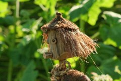 IMG_13635_DxO 